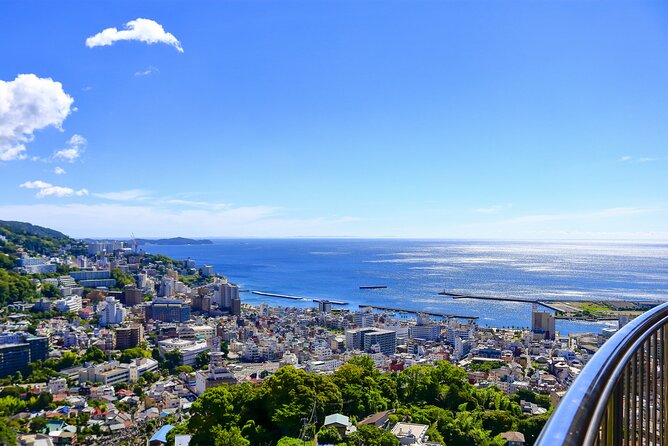Atami Full-Day Private Tour With Government-Licensed Guide - Questions