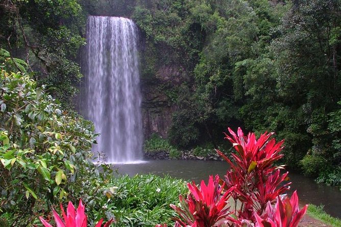 Atherton Tablelands and Waterfalls Full-Day Tour From Cairns  - Cairns & the Tropical North - Booking Information and Policies