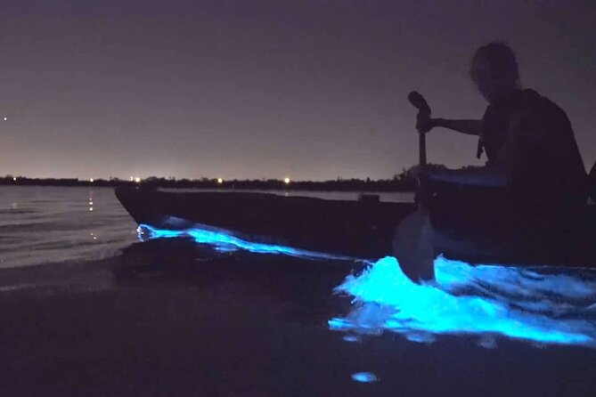 Auckland Bioluminescence Kayak Tour - Tour Operator