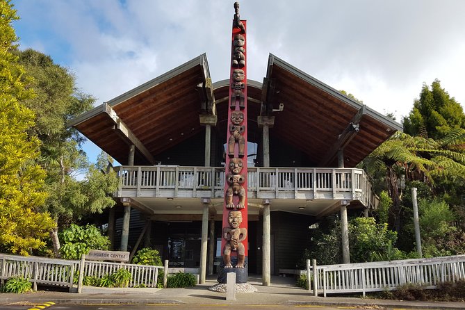 Auckland City Highlights, Afternoon Piha Beach & Rainforest Tour - Wilderness Adventure in Waitakere Ranges