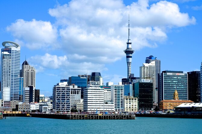 Auckland Coastal Discovery - Private Tour Incl. Wine Tasting - Gannets Nesting Season