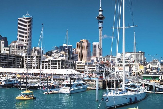 Auckland Shore Excursion: West Coast Wineries Tour - Tour Overview