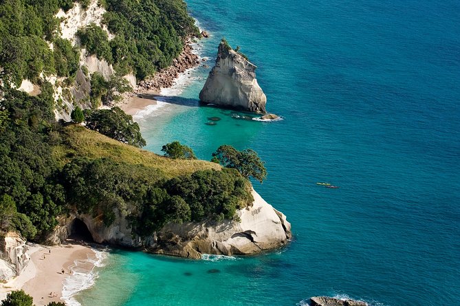 Auckland to Coromandel Private Tour - Hassle-Free Transportation