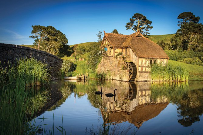 Auckland to Rotorua via Waitomo Caves and Hobbiton Movie Set One-Way Private - Explore Hobbiton Movie Set