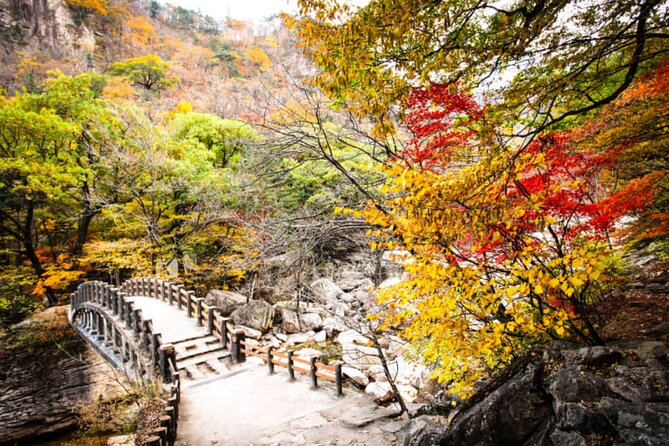 Autumn Limited: Seoraksan X Maple Mountain Cable Car Tour - Booking and Cancellation Policies