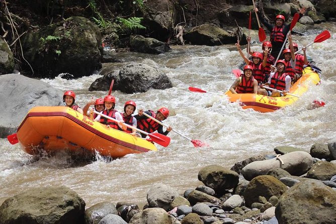Ayung River - White Water Rafting Bali - Pricing and Booking Details