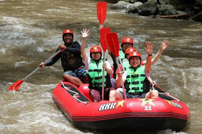 Ayung River White-Water Rafting With Lunch and Water  - Ubud - Key Points