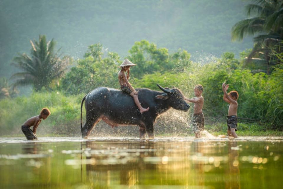 Back to Basics: Village Life Tour From Siem Reap - Experience Highlights