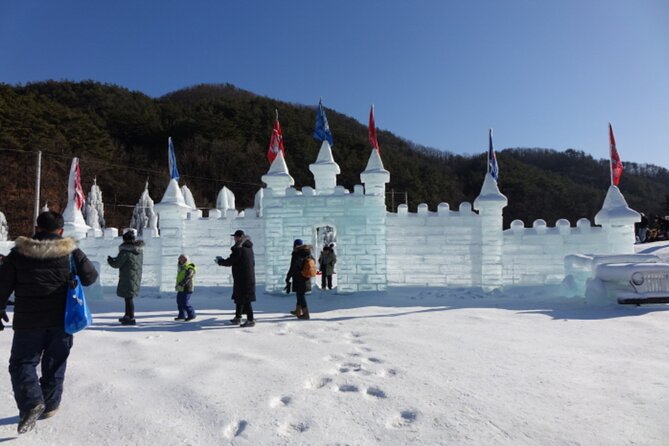 Baegungyegok Valley Dongjangkun Snow Festival & Strawberry Events - Traveler Experience Highlights