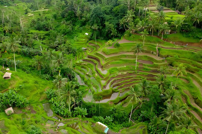 Bali ATV Ride And Ubud Tour Packages : Best Quad Bike Trip - Pricing and Booking Details