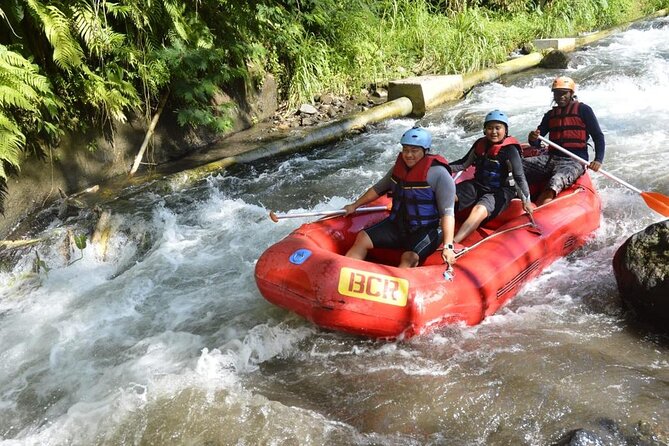 Bali Ayung River Small-Group Whitewater Rafting Tour  - Ubud - Booking Information