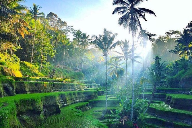 Bali : Best Private Day Tour With Private Driver - Customizable Itinerary Options