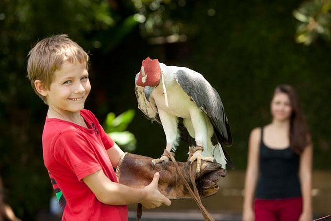Bali Bird Park Admission Ticket With Hotel Transfer - Educational Shows and Performances