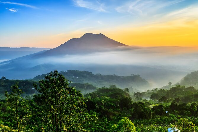Bali Full-Day Car Charter: Ubud and Kintamani Volcano Tour - Inclusions and Exclusions
