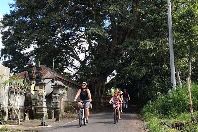 Bali Half-Day Cycling Tour With Lunch  - Ubud - Reviews