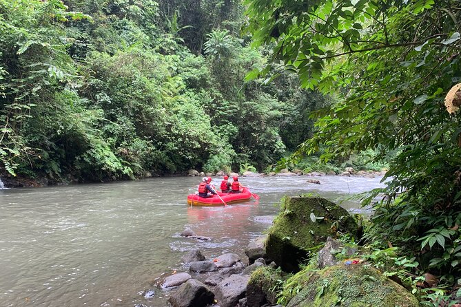 Bali Jungle White Water Rafting Adventure - Pickup Information