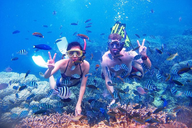 Bali Menjangan Island Snorkeling Day Tour - Tour Requirements