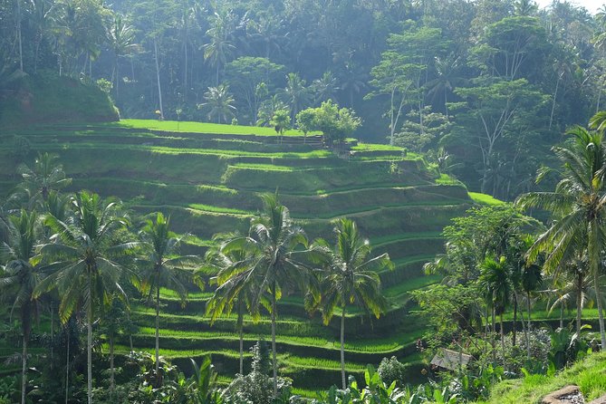 Bali Private Car Charter - Tour Highlights of Bali Private Car Charter