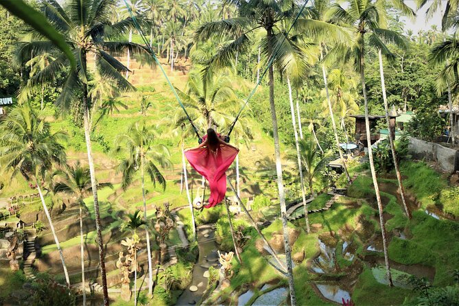 Bali Private Full Day Tour to Visit the Best Waterfalls and Swing Near Ubud - Hotel Reservation Information