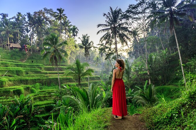 Bali Private Tour - Best of Ubud - All Inclusive - Inclusions and Exclusions