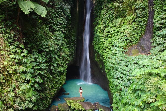 Bali Secret Waterfall Tour - Private and All-Inclusive - Reviews Overview