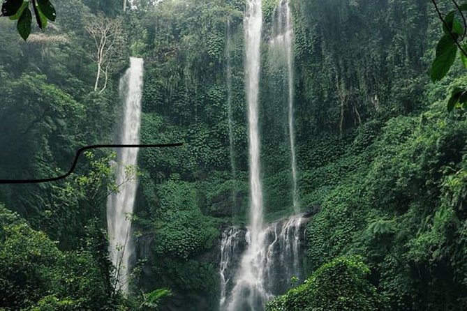 Bali Sekumpul Waterfall, Banyumala Waterfall and Bedugul Temple ( Private Tours) - Itinerary Overview