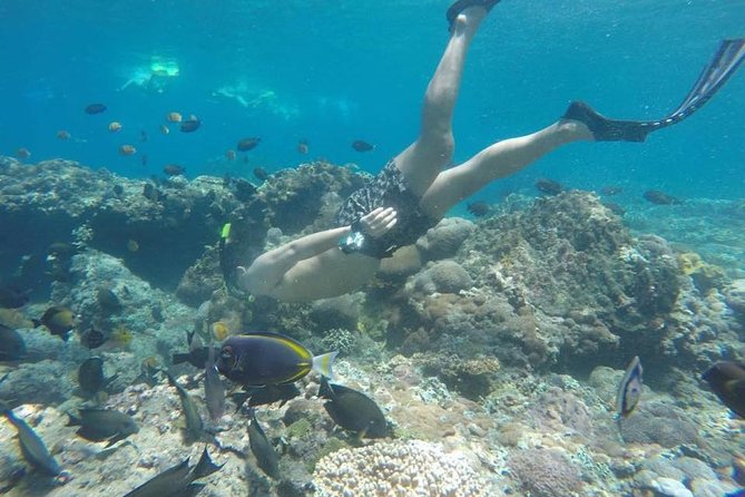 Bali Snorkeling Tour at Blue Lagoon Beach - All-Inclusive - Snorkeling Tour Overview