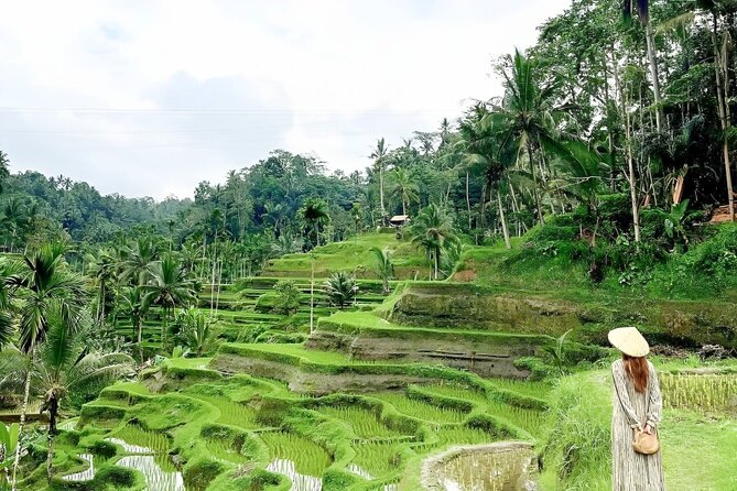 Bali Tour : Best Attractions in Ubud With Rice Terrace - Tour Overview