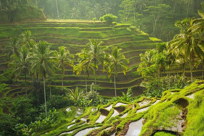 Bali Tribal Private Tour - Experience the Best of Ubud, Bali - Included Attractions