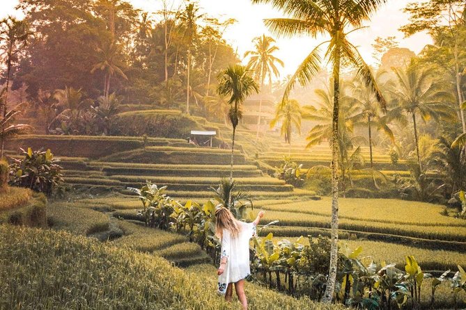 Bali Ubud Private Tour With Ubud Bali Driver - FREE WIFI - Driver Expertise