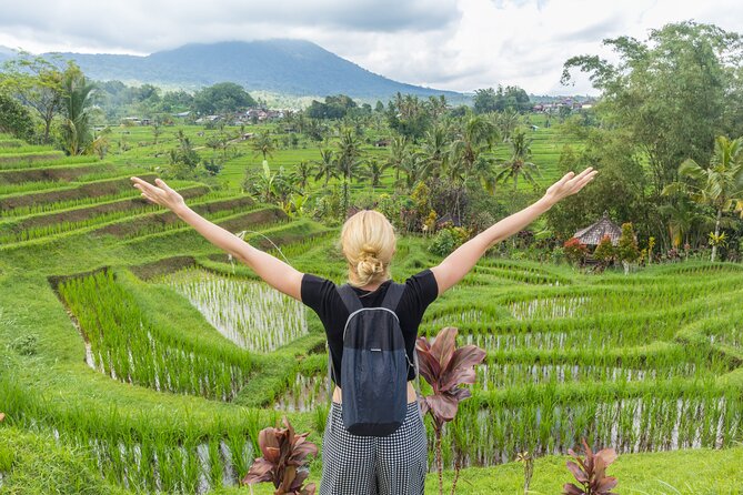 Bali Waterfalls, Rice Fields, and Temple Private Day Tour  - Ubud - Booking Information