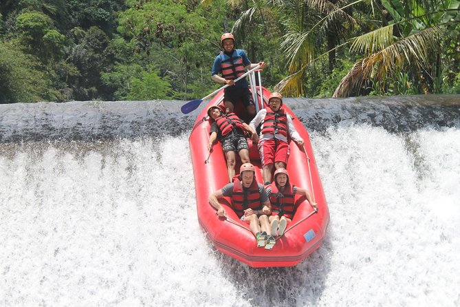 Bali White Water Rafting at Telaga Waja River - Rafting Experience Overview