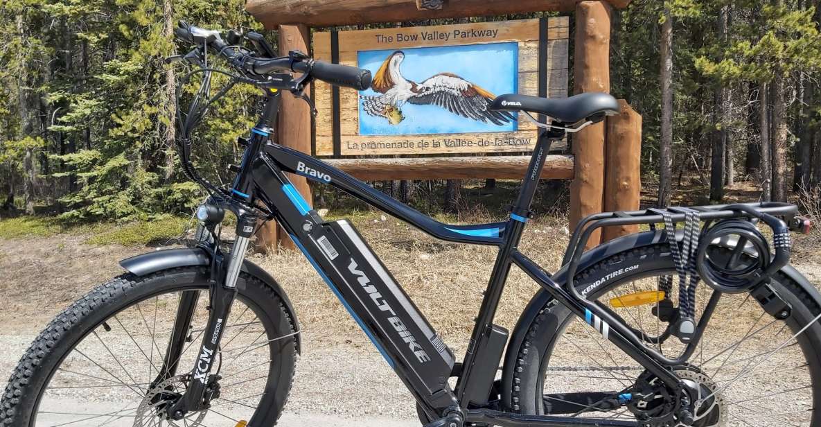 Banff: 4-Hour E-Bike and Walking Tour in Johnston Canyon - Review Summary