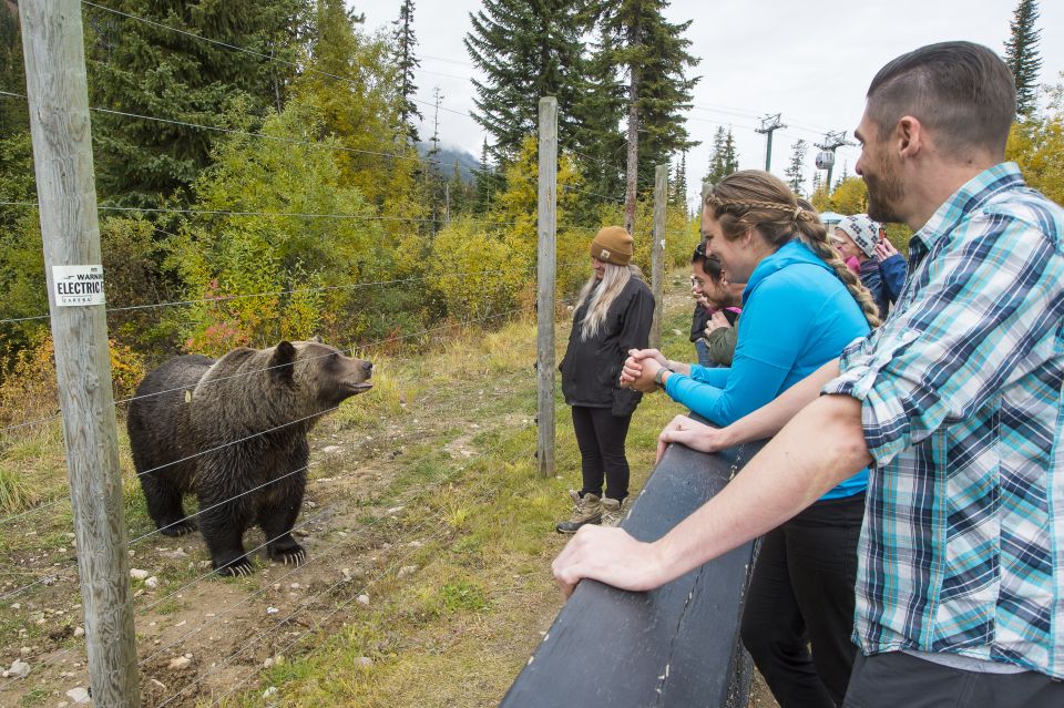 Banff: Grizzly Bear Refuge Tour With Lunch - Inclusions