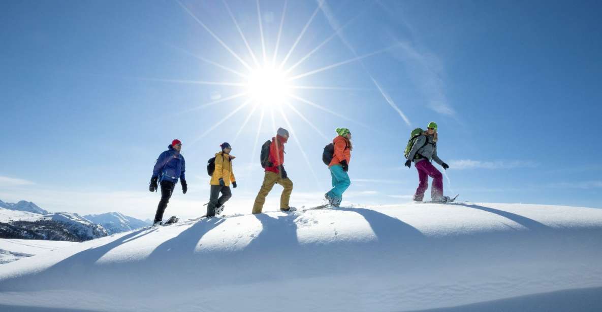 Banff National Park: Sunshine Meadows Snowshoeing Experience - Activity Details