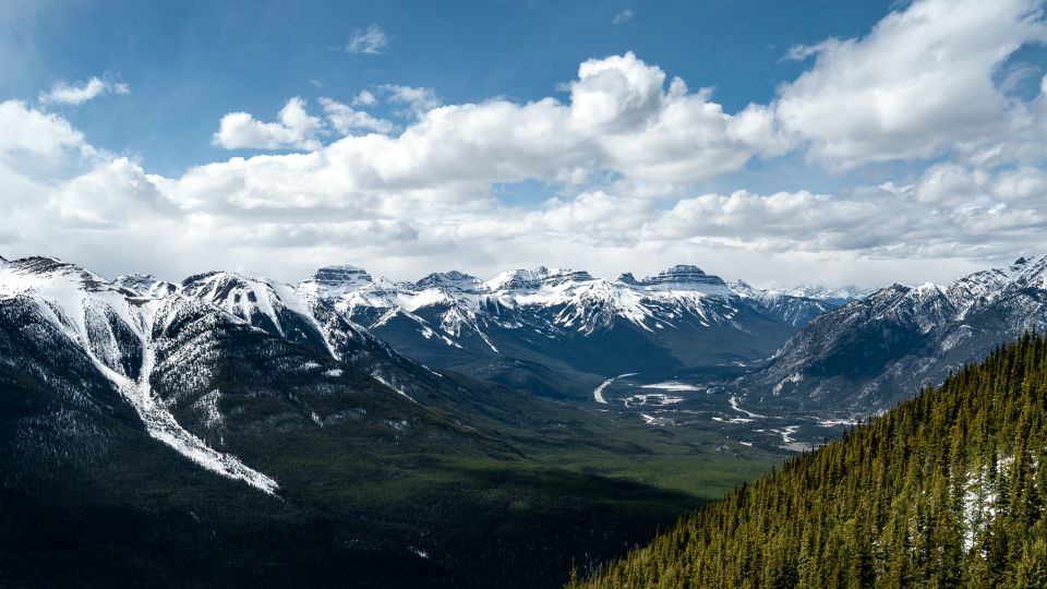 Banff: Sulphur Mountain Guided Hike - Hike Highlights