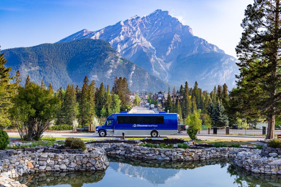 Banff: Wildlife and Sightseeing Minibus Tour - Experience Highlights