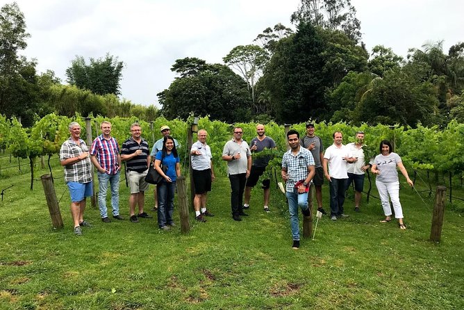 Barefoot Luxury Mount Tamborine Winery Tour From Brisbane - Inclusions and Services