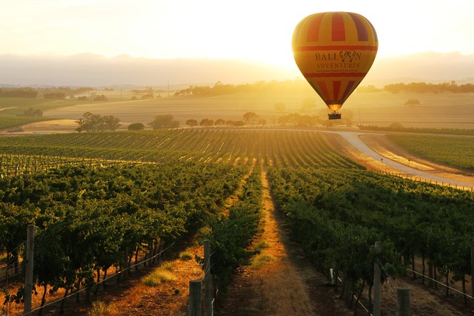 Barossa Valley Hot Air Balloon Ride With Breakfast - Hot Air Balloon Flight Details