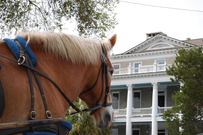 Beaufort Small-Group Historic Horse-Drawn Carriage Tour  - Hilton Head Island - Booking and Pricing Information