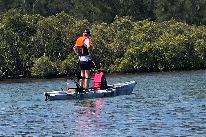 Beautiful Island Circumnavigating in a Leisurely Electric Kayak - Tour Overview and Highlights