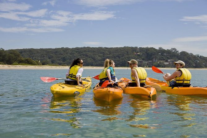 Beginners Kayak Tour in Sydney - Gorgeous Aussie Beaches and Bays - What To Expect