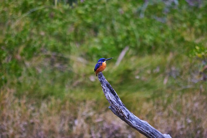 Bermagui River Kayak Tour - Booking Information