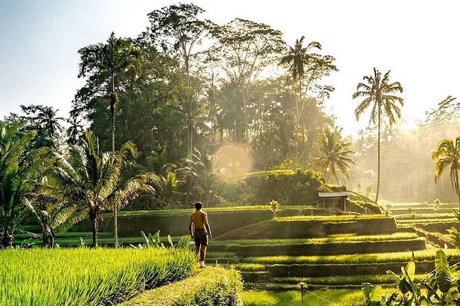 Best of Ubud - Full Day Tour FREE WI-FI - Local Cuisine Highlights