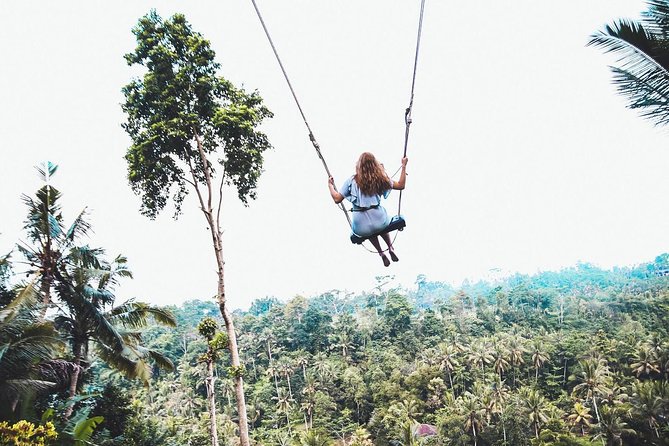 Best of Ubud Full-Day Tour With Jungle Swing - Itinerary Details