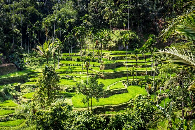 Best of Ubud - Private Guided Full-Day Tour, Ubud, Bali - Inclusions and Exclusions