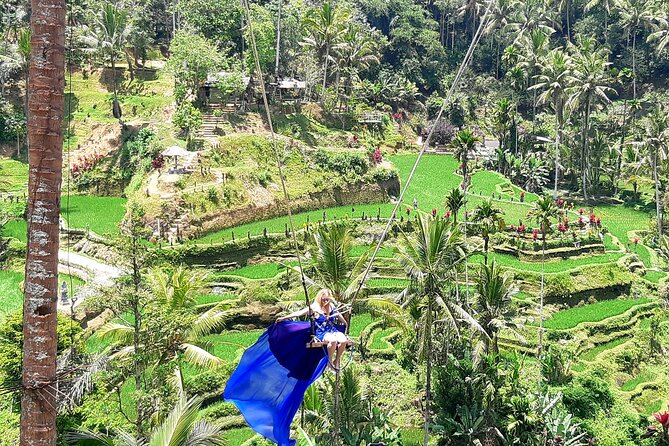 Best of Ubud With Jungle Swing - Ubud Highlights