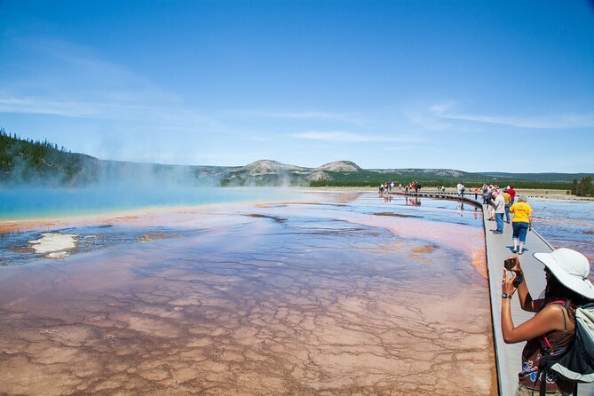 Best of Yellowstone Guided Tour From Bozeman - Private Tour - Customer Reviews and Recommendations