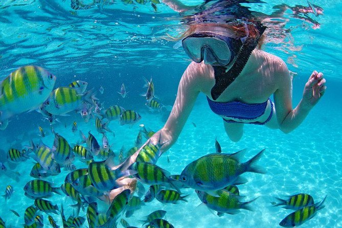 Best Snorkeling Trip at Blue Lagoon Bali - Cancellation Policy