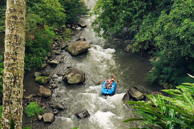 Best White Water Rafting With Lunch and Private Transfer in Bali - Features of the Rafting Experience